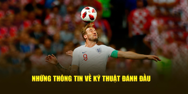 Những thông tin về kỹ thuật đánh đầu