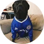 CakhiaTV – xem trực tiếp bóng đá đón Tết 2026 cùng Cà Khịa 23 Khán giả Chân Đen Sì