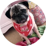 CakhiaTV – xem trực tiếp bóng đá đón Tết 2026 cùng Cà Khịa 22 Khán giả Lữ Đoàn Cho Đỉm